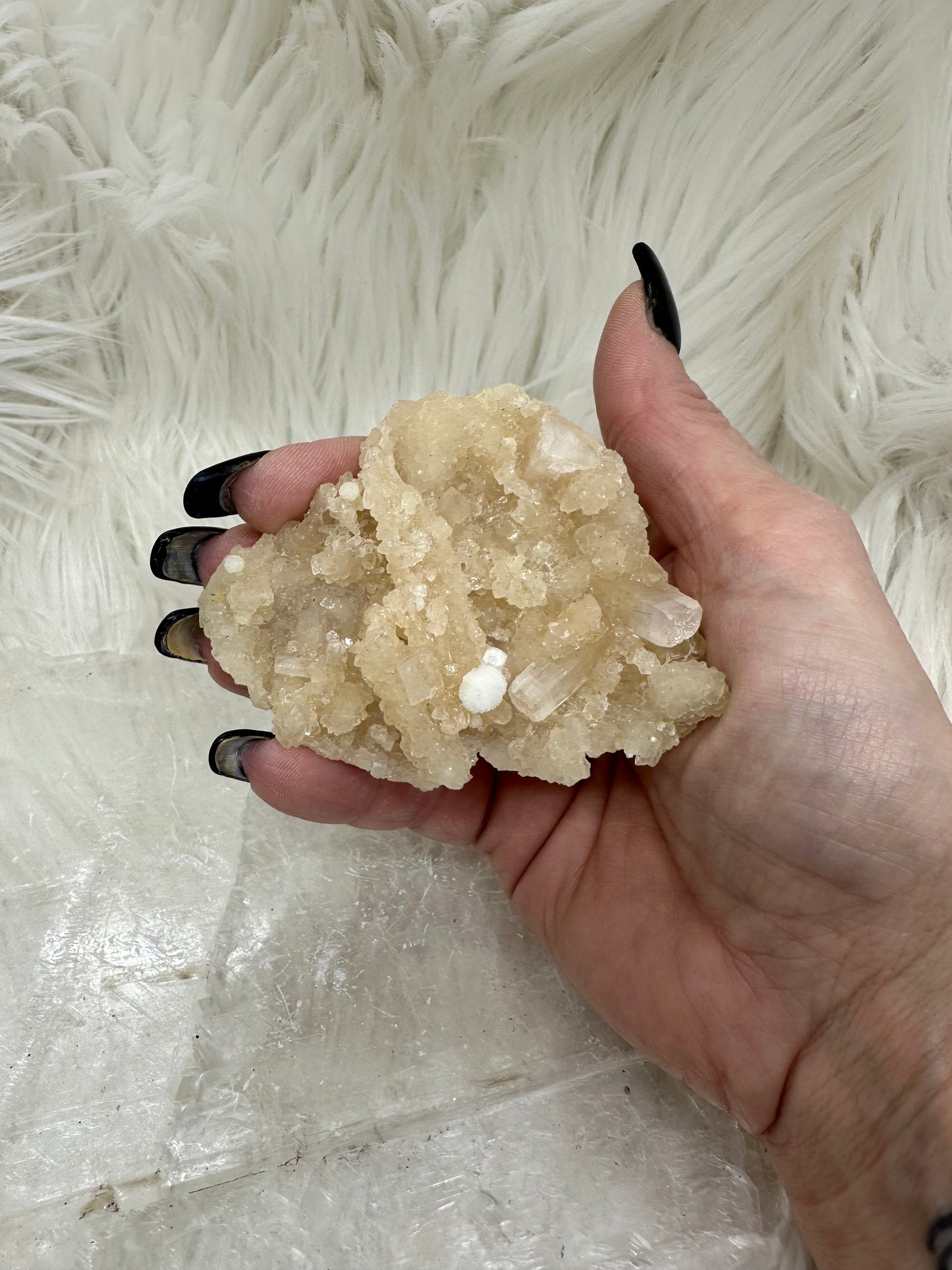 Calcite and Aragonite