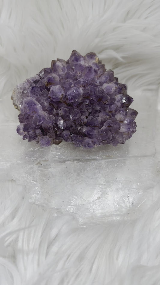 Amethyst Cluster