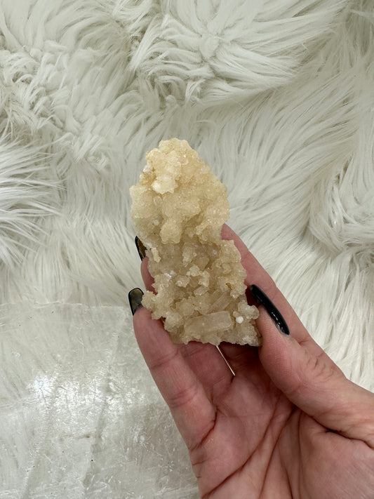 Calcite and Aragonite