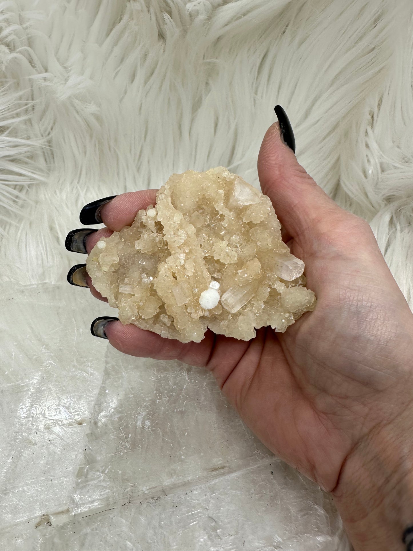 Calcite and Aragonite