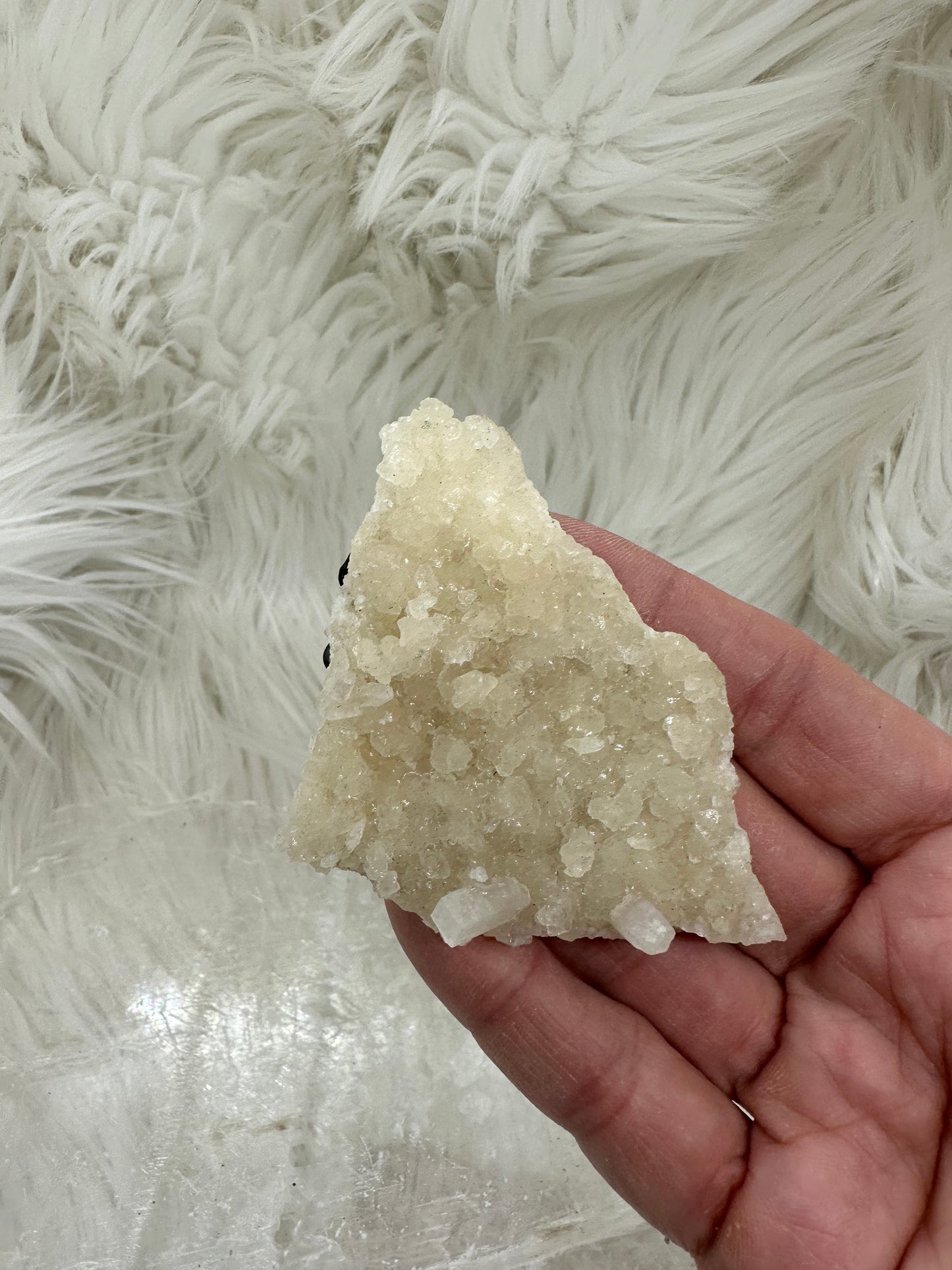 Calcite and Aragonite