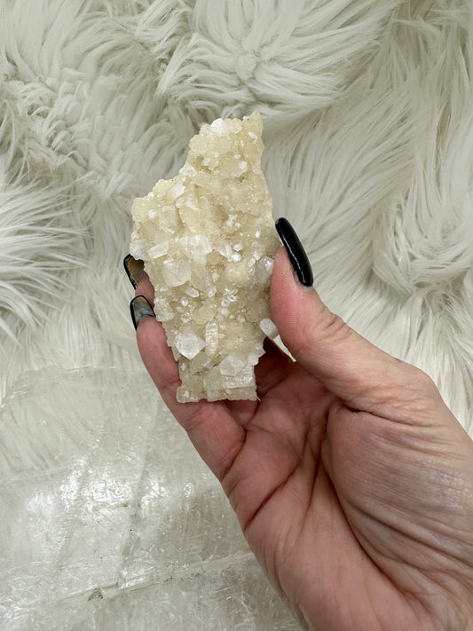 Calcite and Aragonite