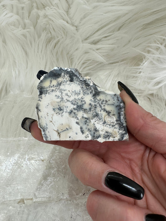 Dendritic Opal