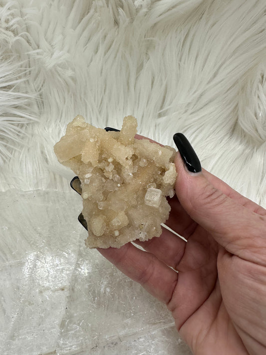 Calcite and Aragonite