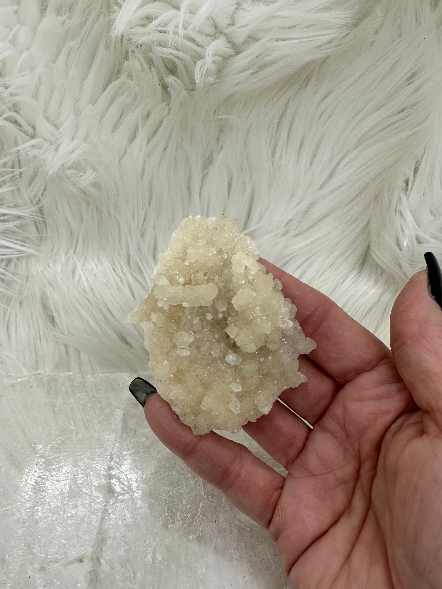 Calcite and Aragonite