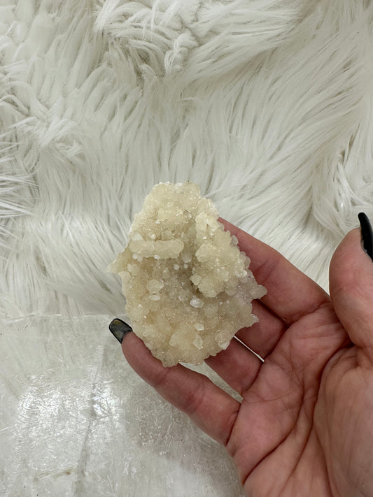 Calcite and Aragonite